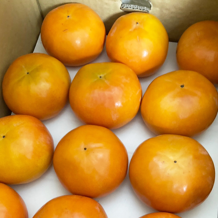 柿 3kg（15〜18個）【2025年10月より発送開始】（茨城県共通返