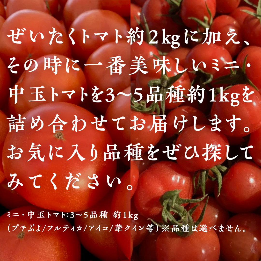 野口農園 ！ ぜいたく トマト ＆ ミニトマト ＆ 中玉 セット