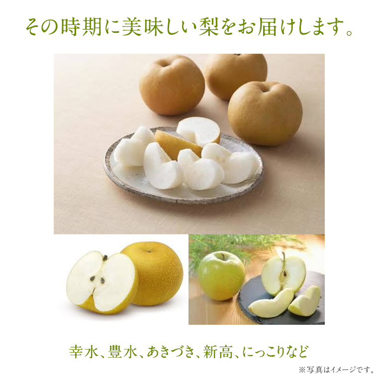 梨 3品種 各7個ずつ【2025年8月より発送開始】（茨城県共通