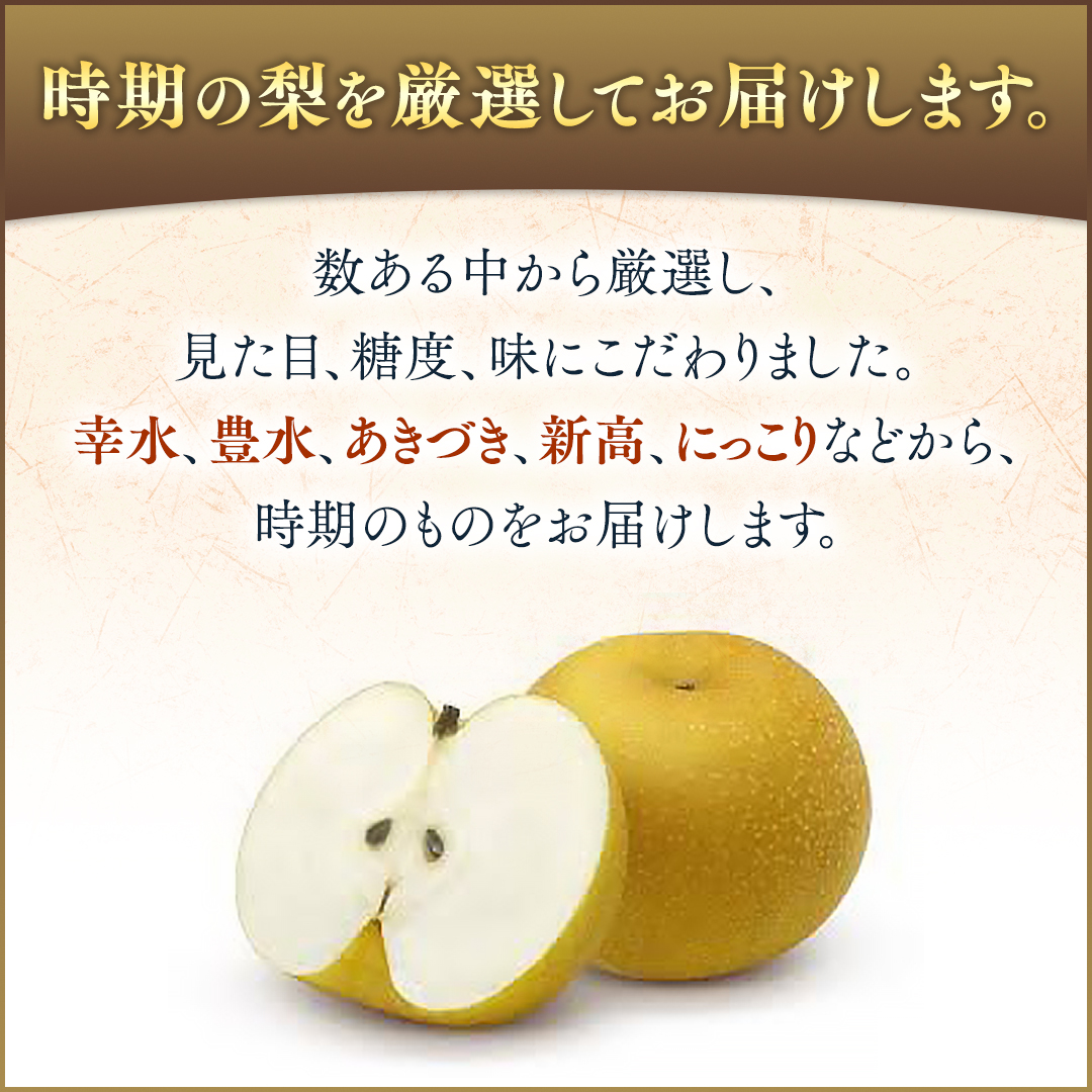 【化粧箱入り】梨 5kg（10〜14個）【2025年8月より発送開始】