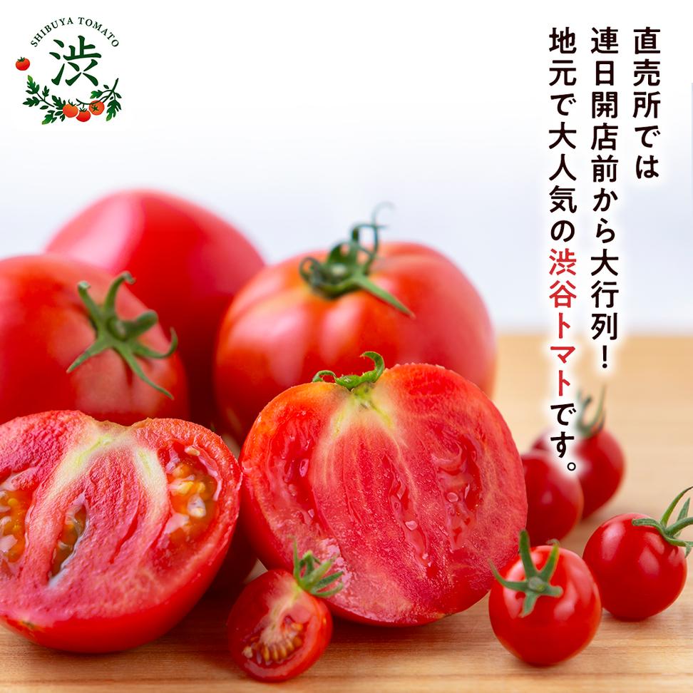 【 2026年 収穫分 先行予約 】 -太陽の味- 渋谷トマト 大玉ト