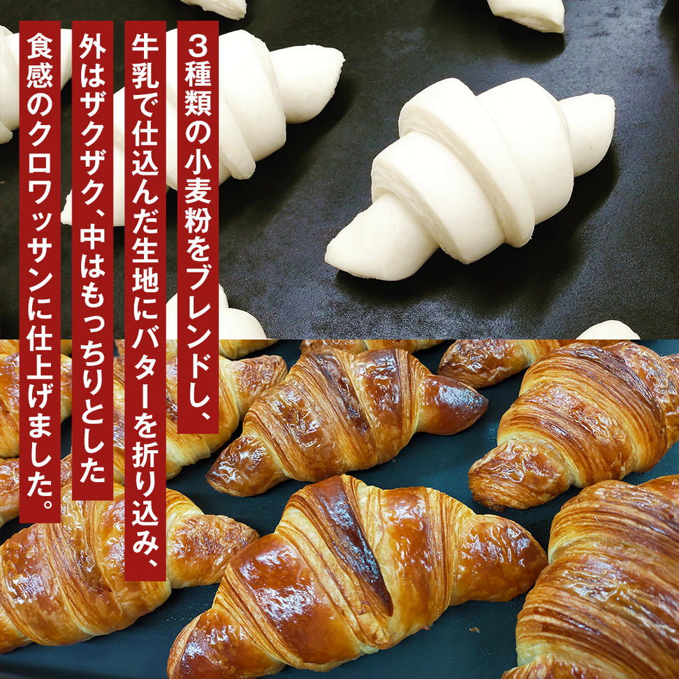 バゲット2本 ＆ クロワッサン2個 セット 【北海道産 石臼挽
