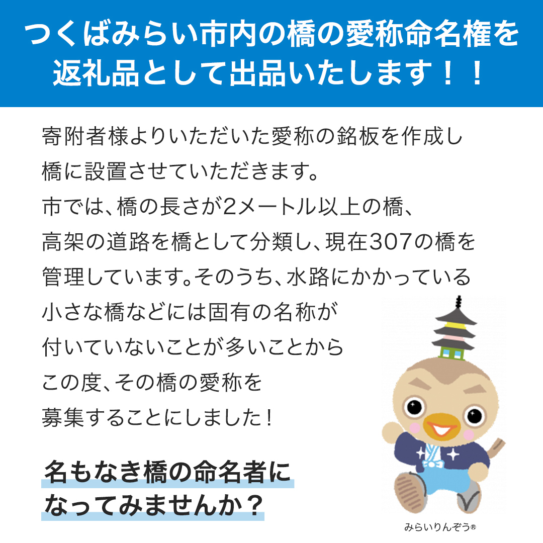 つくばみらい市 橋の愛称 命名権 （橋長5m～10m） 命名 橋 名