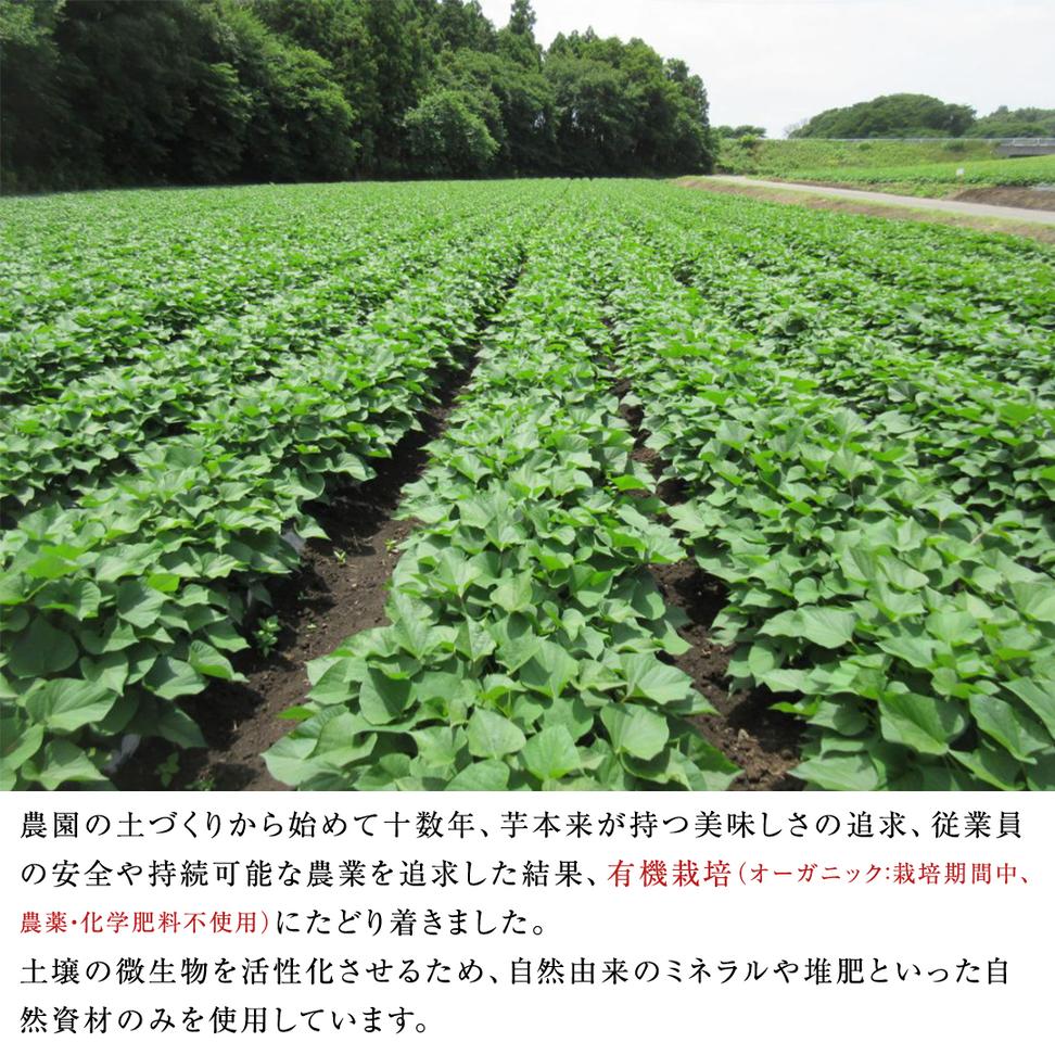 干しいも 紅はるか 標準品 丸干し 150g×4袋 セット つくばみ