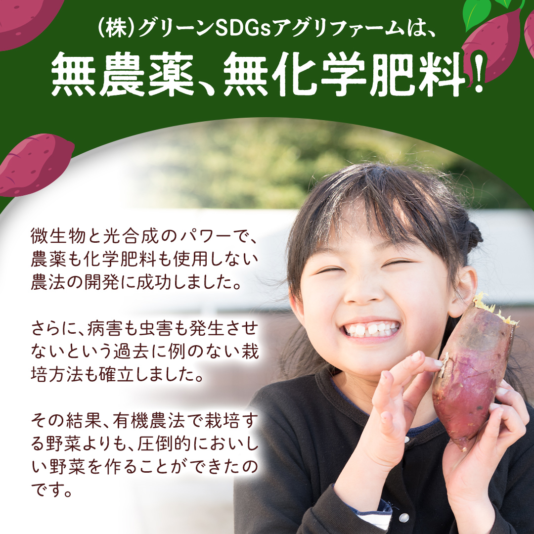 茨城県産 紅はるか 5kg 土付き 無選別 熟成 さつまいも 生芋 