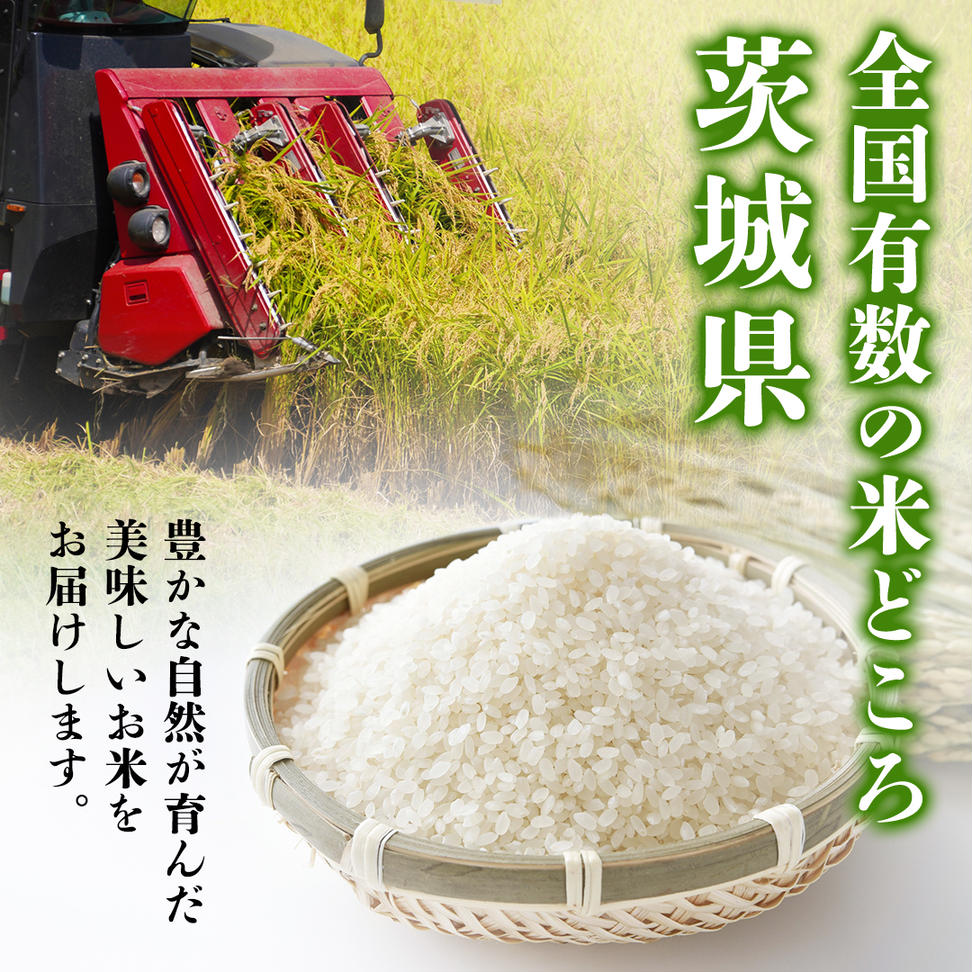 【 2月上旬発送 / 数量限定 】茨城県産 コシヒカリ 精米 10kg 