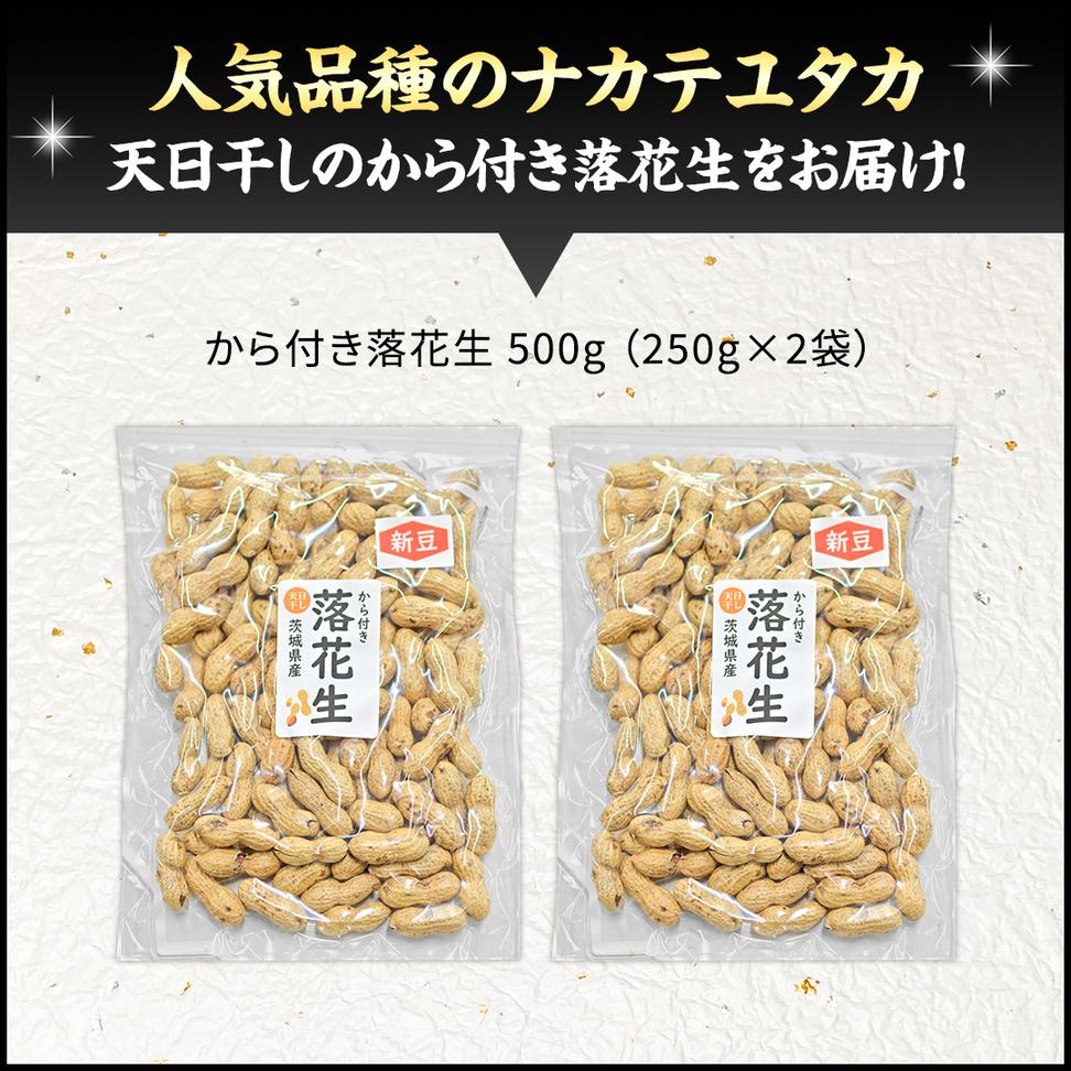 から付き落花生 500g （250g×2袋） 煎りざや落花生 おつまみ 