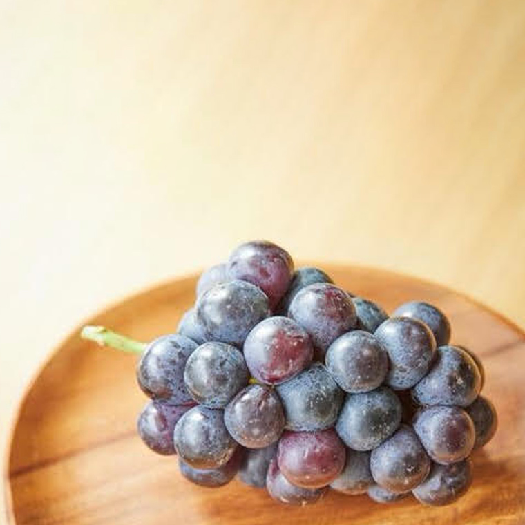 【定期便】ぶどう 品種ランダム3房セット【2025年8月から3か