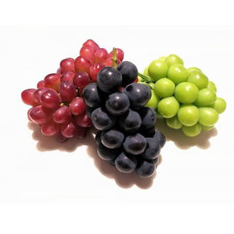 【定期便】ぶどう 品種ランダム5房セット【2025年8月から3か