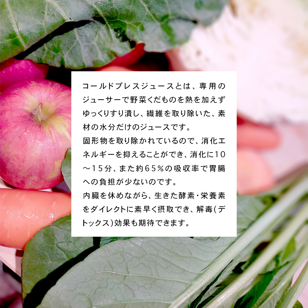 【定期便 全６回】野菜と果物の コールドプレスジュース 