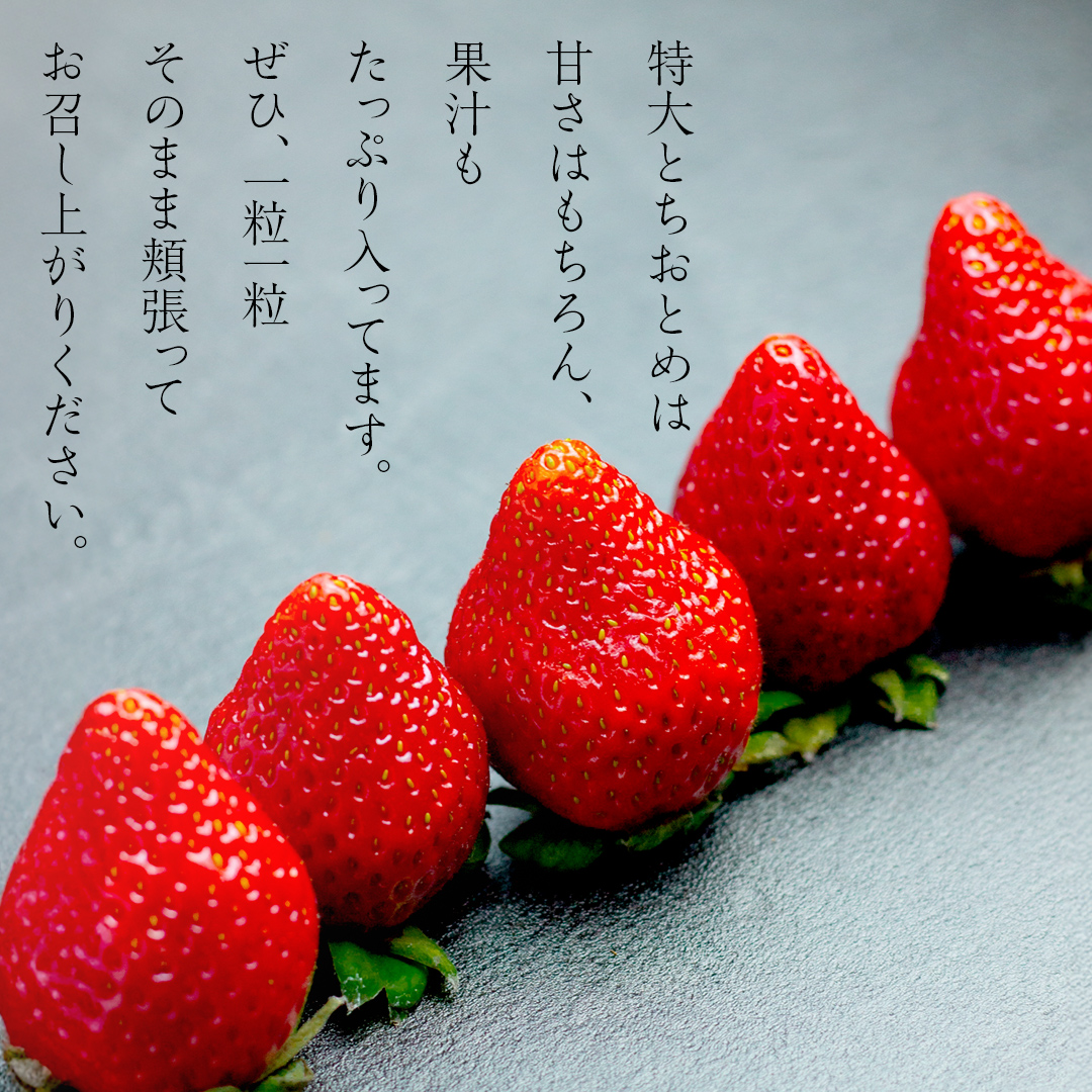 【数量限定】桐箱入り 大粒いちご とちおとめ 9粒（茨城県