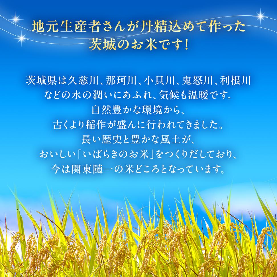 令和6年産 茨城県産 精米 もち米 ヒメノモチ 5kg （5kg×1袋） 