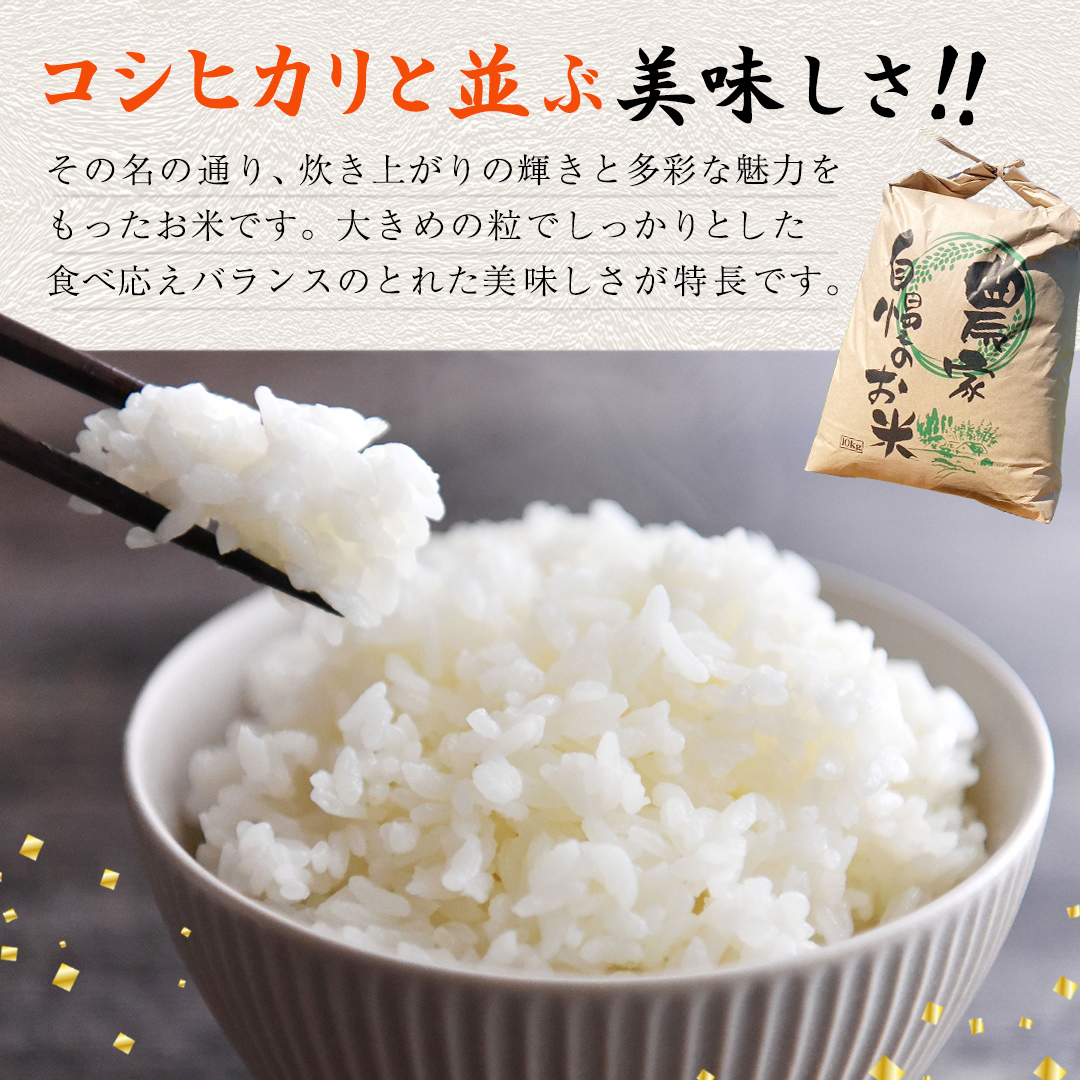 ＜ 新米 ＞ 令和7年産 茨城県産 白米 にじのきらめき 5kg 【20