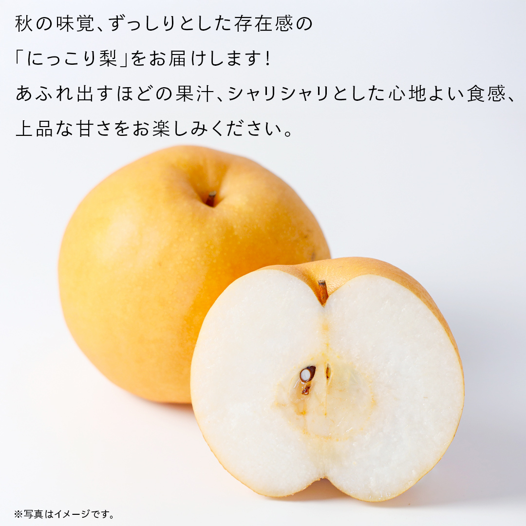 にっこり 梨 5kg （7～10玉）【2025年10月より発送開始】（茨