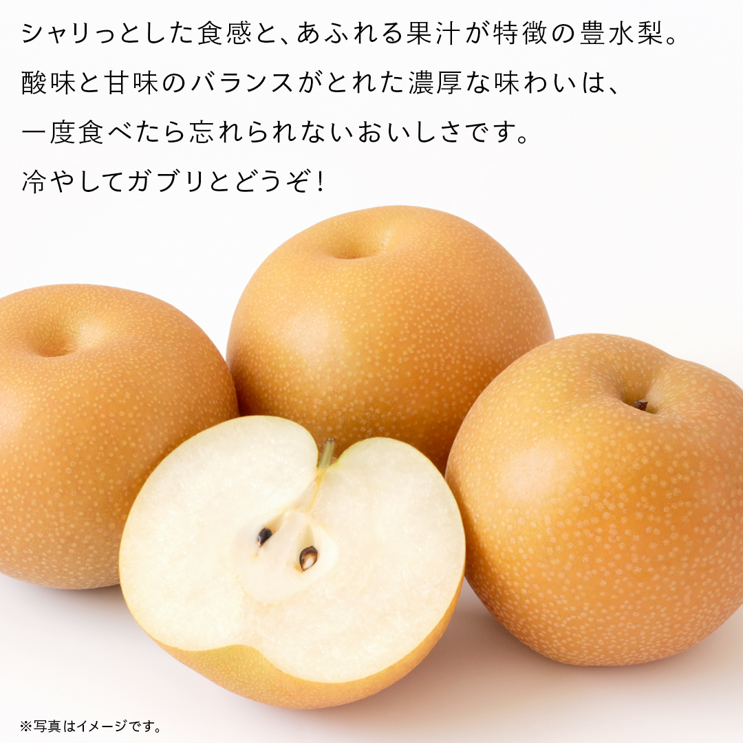 豊水 梨 10kg （18～24玉）【2025年9月より発送開始】（茨城県