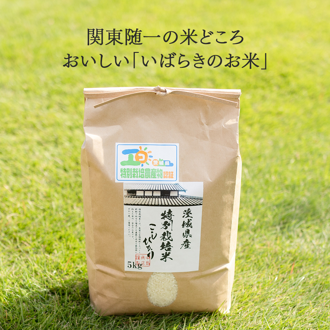 ＜ 新米 ＞ 令和7年産 茨城県産 玄米 特別栽培米 コシヒカリ