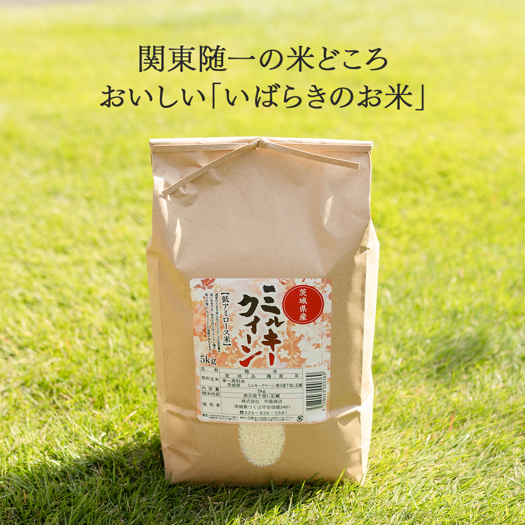 令和7年産 茨城県産 玄米 ミルキークイーン 10kg （5kg×2袋） 