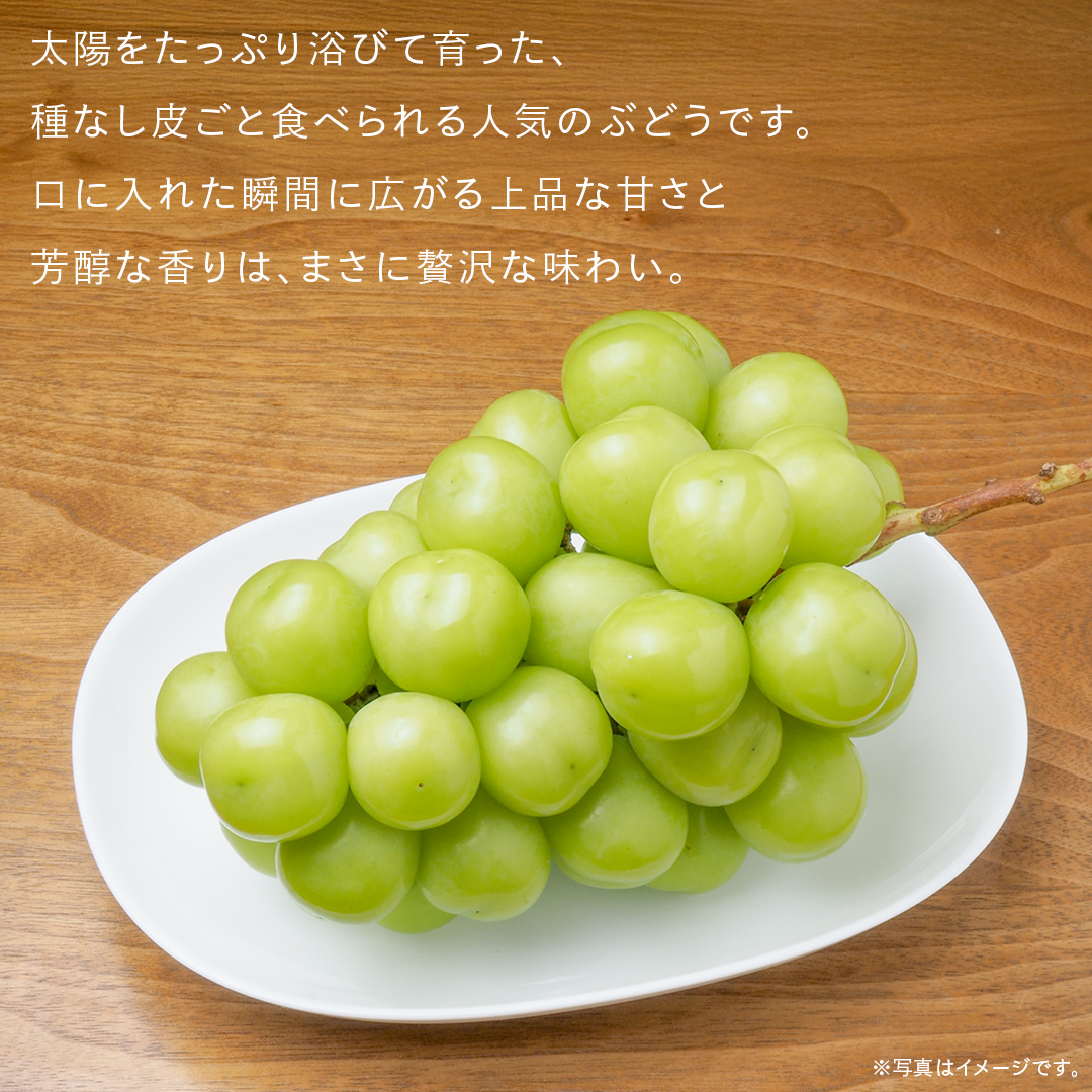 シャインマスカット 2kg （4房）【2025年9月より発送開始】（