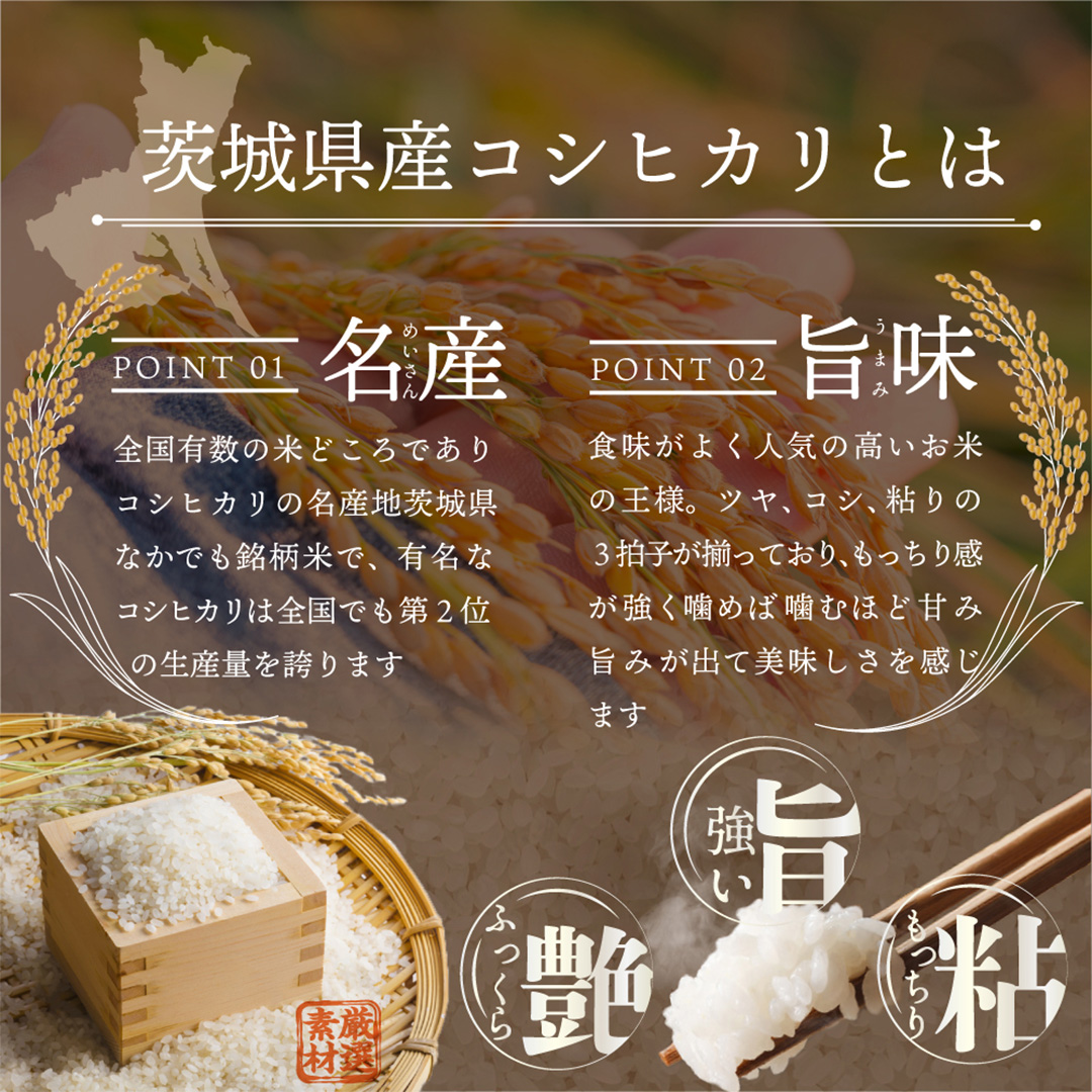 【 最短 翌日発送 】令和7年産 茨城県産 コシヒカリ 3kg ( 3kg 