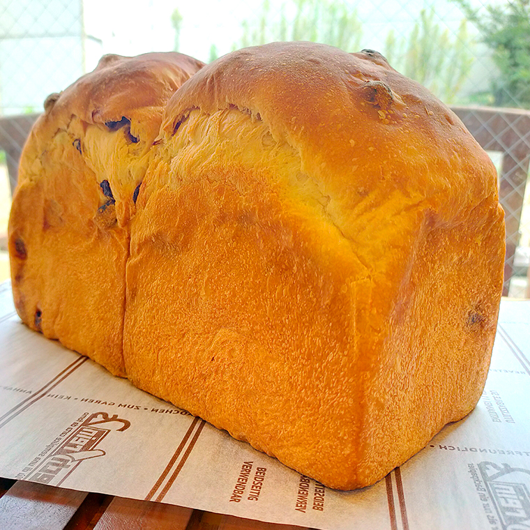 レーズン 食パン 1本（2斤分） パン 朝ごはん 朝食 おやつ 