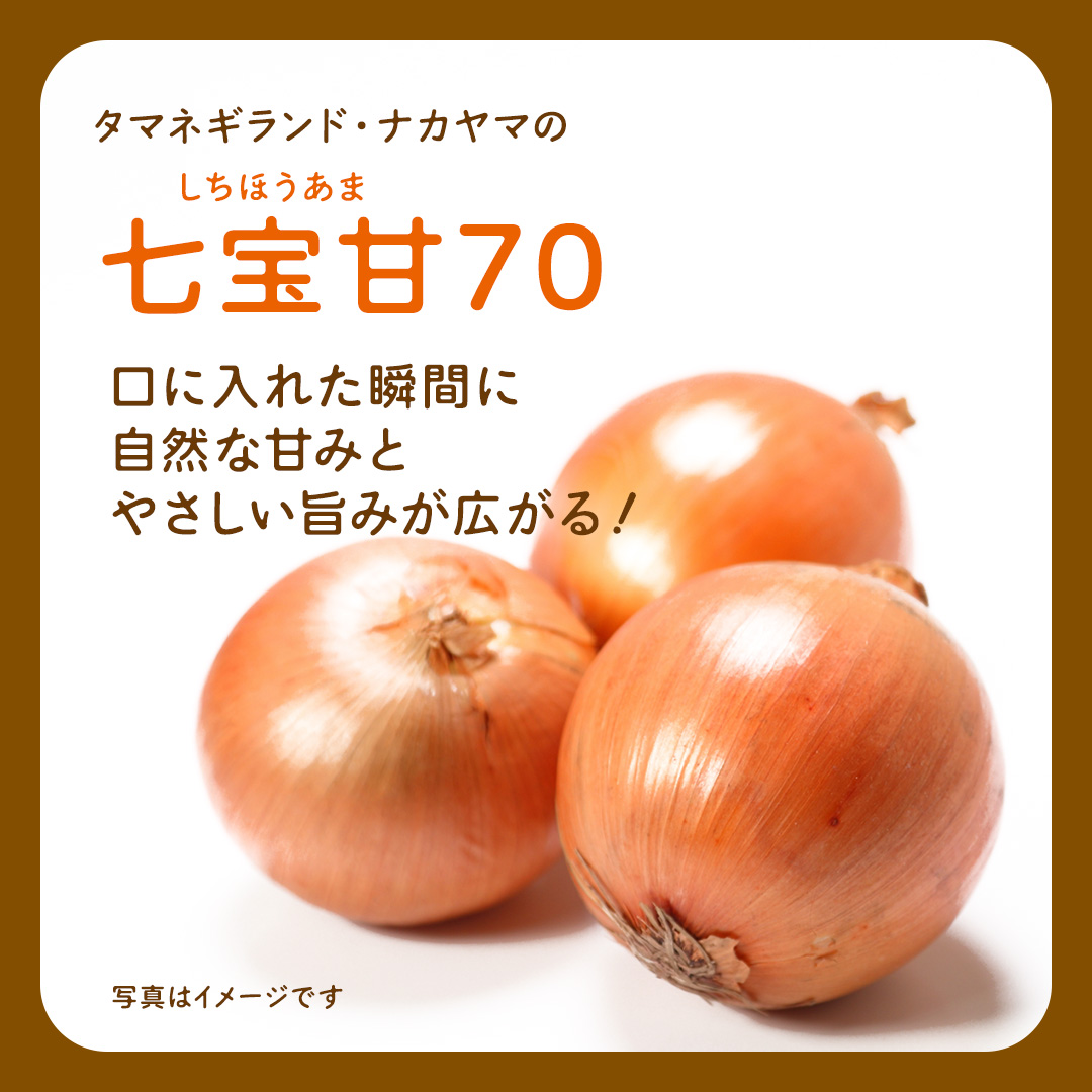 【先行予約】つくばみらい市産たまねぎ 5kg （七宝甘70）保