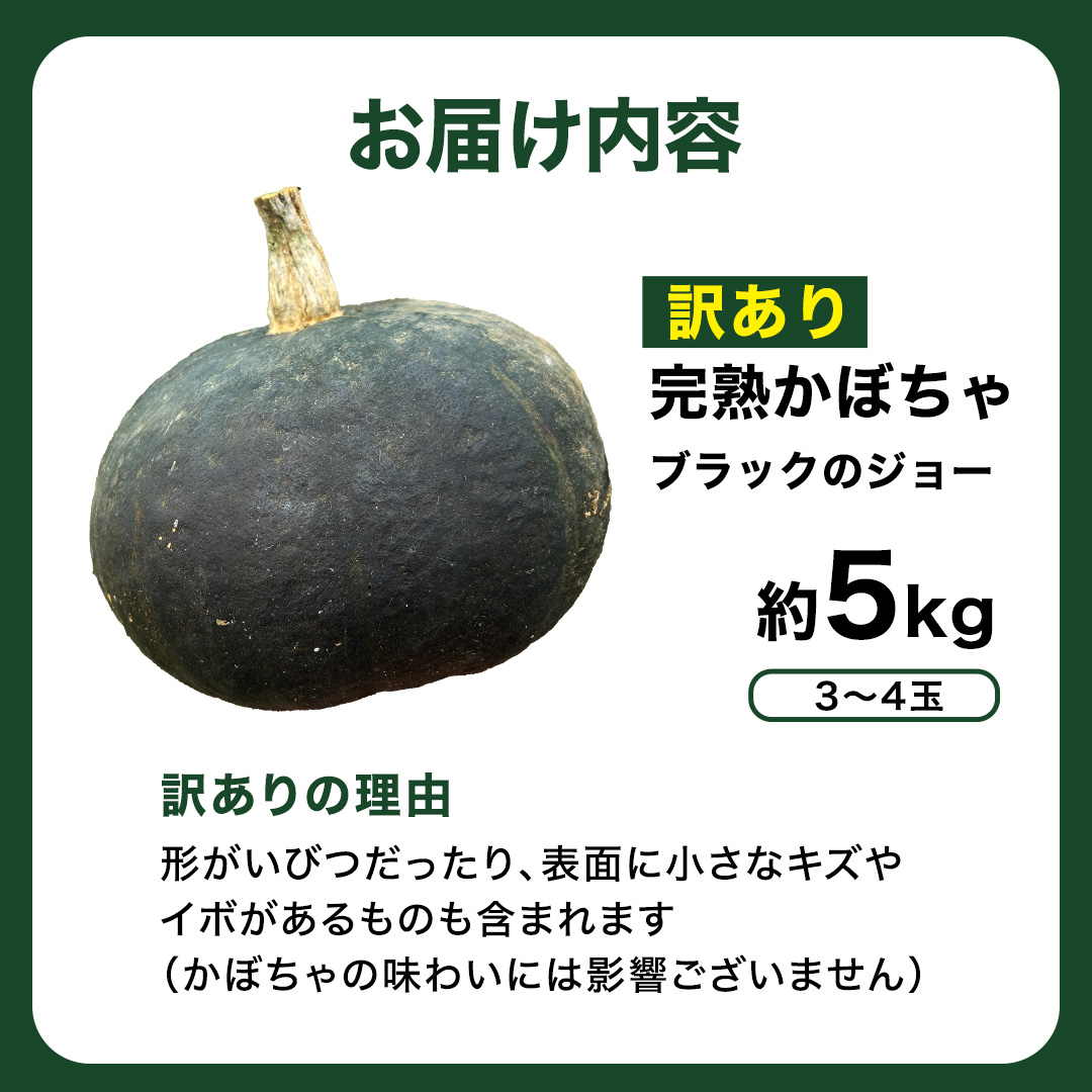 【 訳アリ 】完熟かぼちゃ ブラックのジョー 5kg（3～4玉） 
