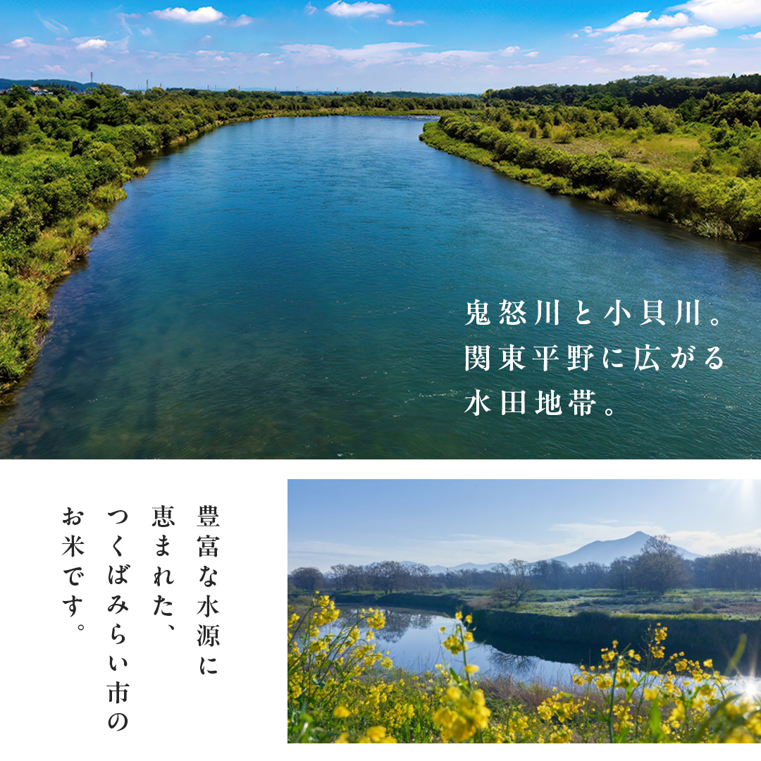 【 無洗米 】令和7年産 新米 コシヒカリ 10kg 茨城県つくばみ
