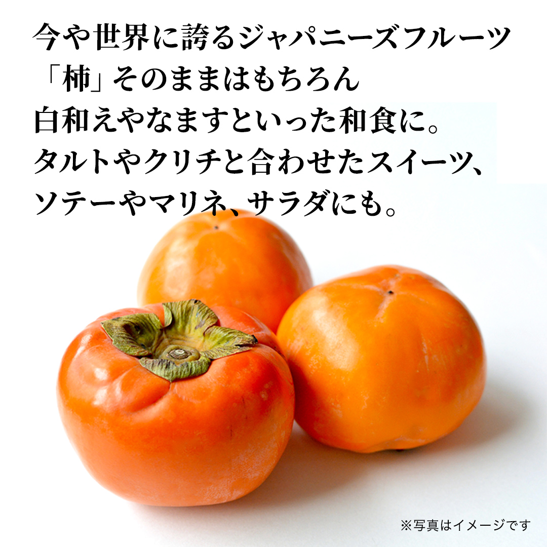 富有柿 15個 約3kg（L、2L）【11月より発送開始】（茨城県共