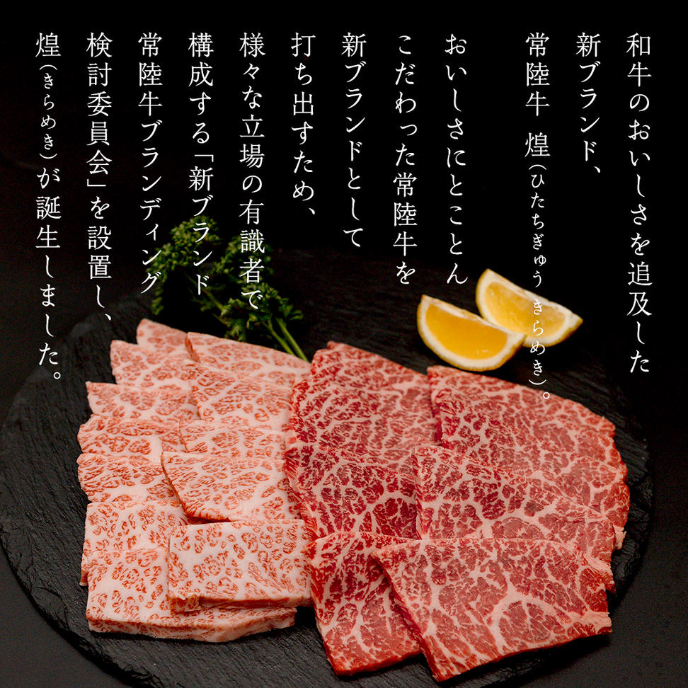 【定期便】＜全3回＞ 【 常陸牛 煌 】 焼肉 希少部位 堪能セ