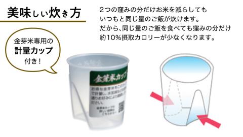 金芽米 】つくばみらい市産 コシヒカリ 5kg × 2袋 ( 計 10kg ) 金芽米