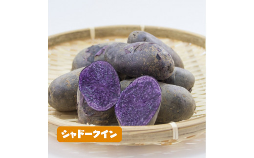 ３種類のじゃがいも4kgセット【令和4年6月から順次お届け】