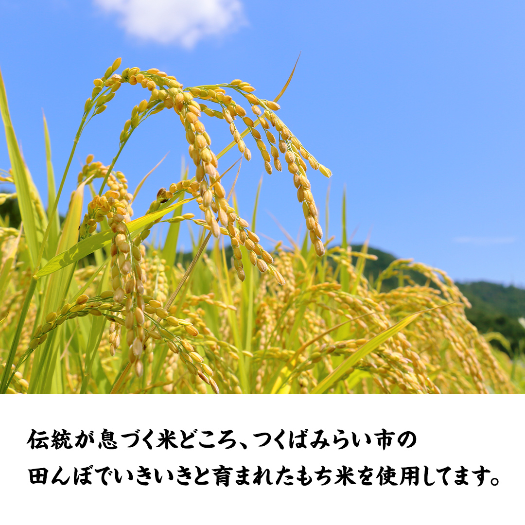 【 お餅 ：三百年続く農家のMochi！】お手軽一口サイズ！レ