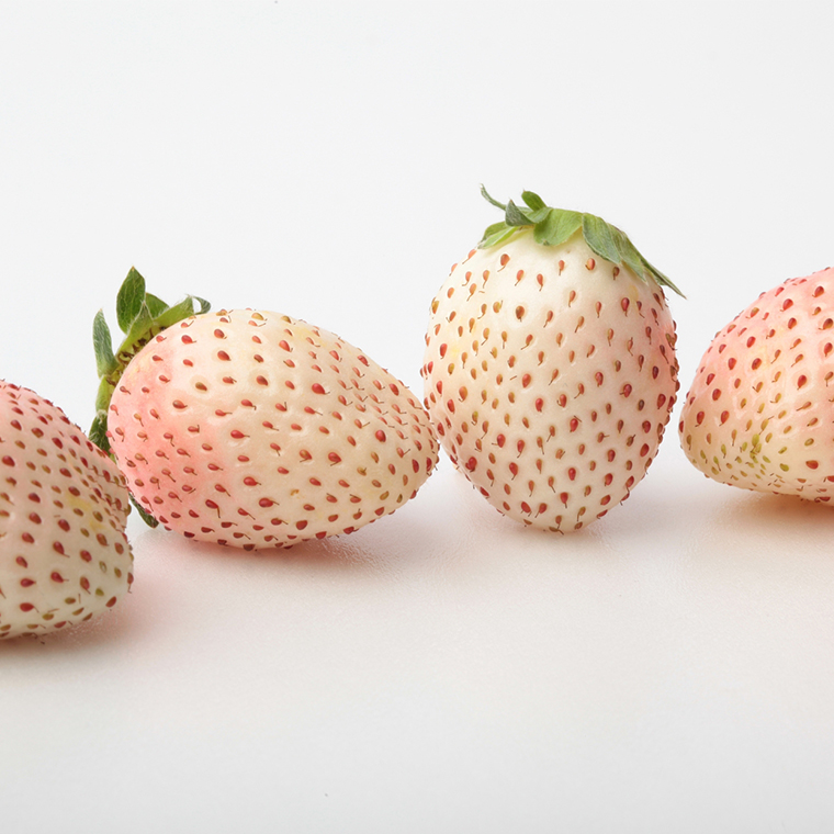 赤いちごと白いちごの宝石箱　【令和6年12月から順次お届