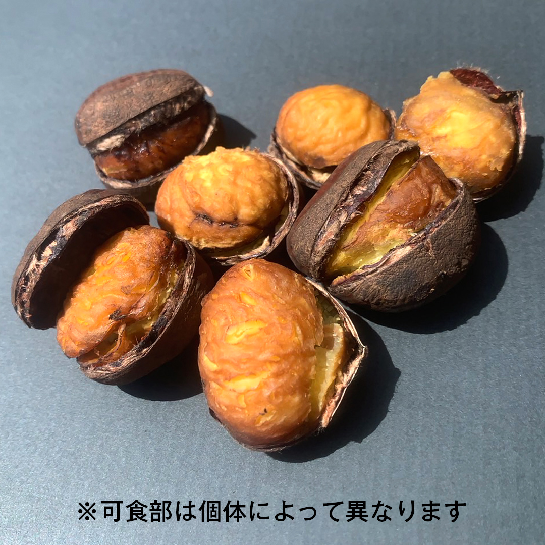 庄七農園 限定 熟成 焼き栗 500g 【 10月から順次お届け 】 栗