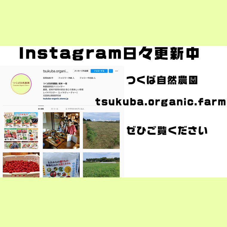 さつまいも ( 紅はるか ） 10kg 【 栽培期間中 / 農薬・肥料不