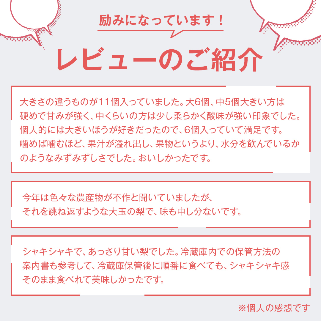 梨 新高 5kg（10〜14個）【2025年10月より発送開始】（茨城県
