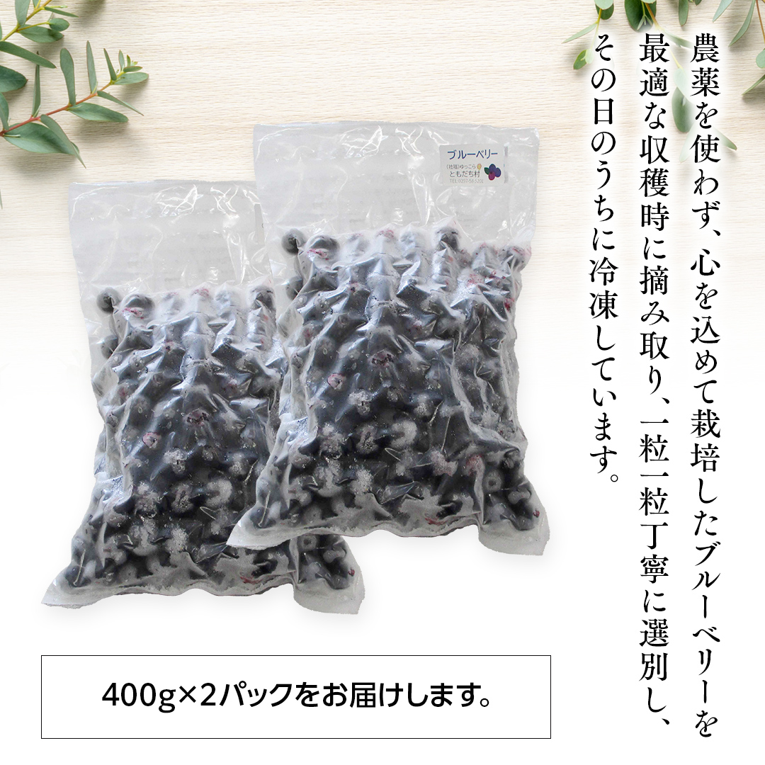 つくばみらい市 産 冷凍 ブルーベリー 800g ( 400g ×2パック ) 