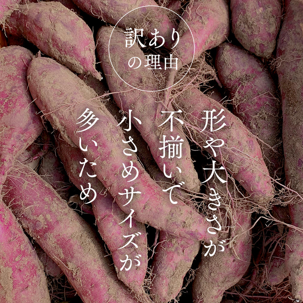 【 訳あり 】 さつまいも ！ 紅はるか 5kg サツマイモ 芋 い