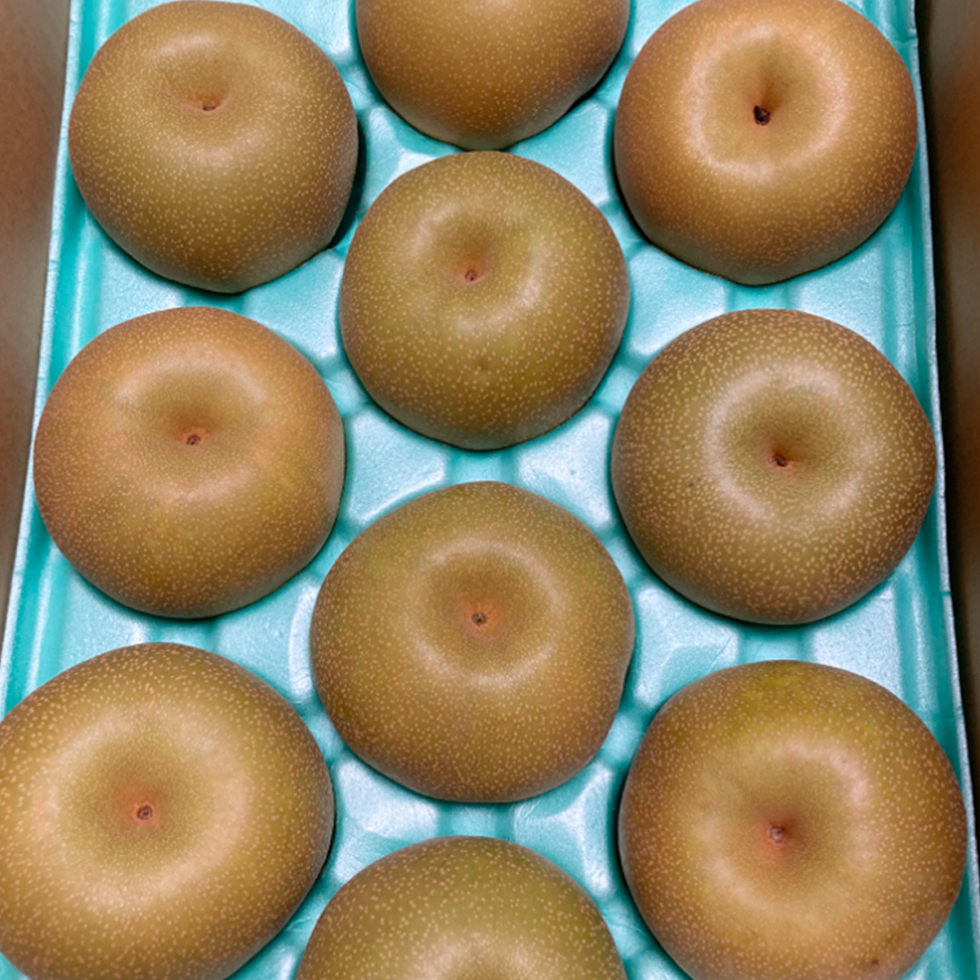 にっこり梨 10kg（20〜24個）【2025年10月より発送開始】（茨