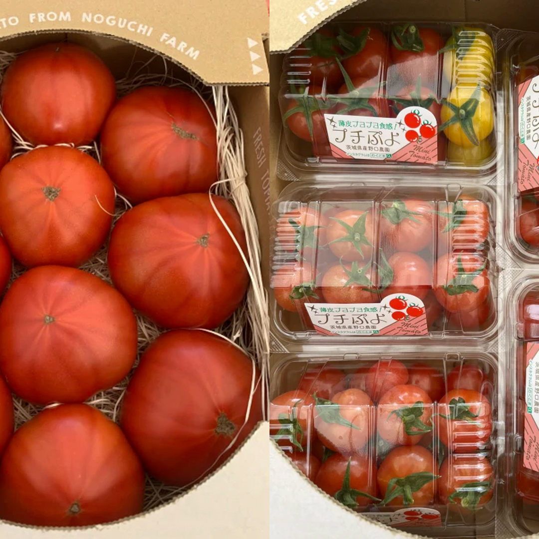 野口農園 ！ ぜいたく トマト ＆ ミニトマト ＆ 中玉 セット