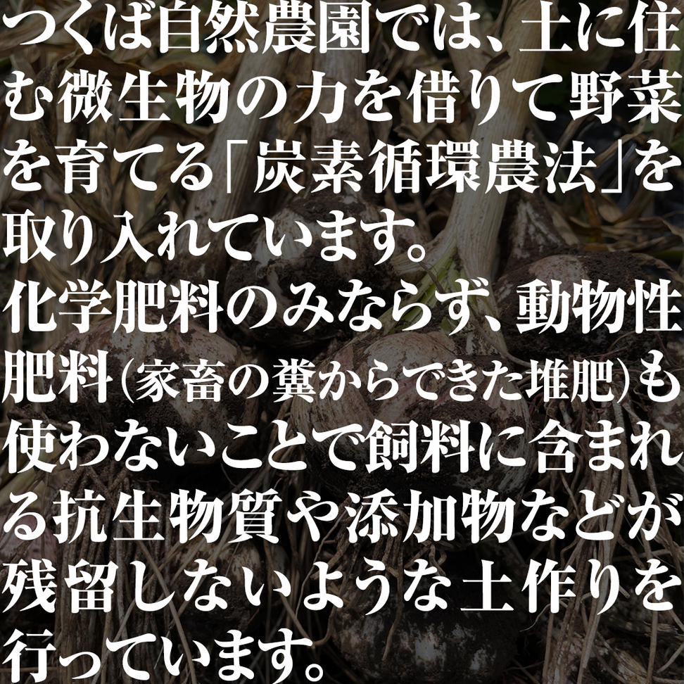 黒にんにく ( フルーツガーリック ） 詰め合わせ 500g （20〜2