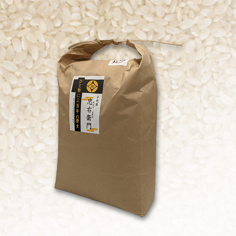 【 先行予約 】令和6年産 ＜ 定期便 ＞ 玄米 10kg×12回（毎月