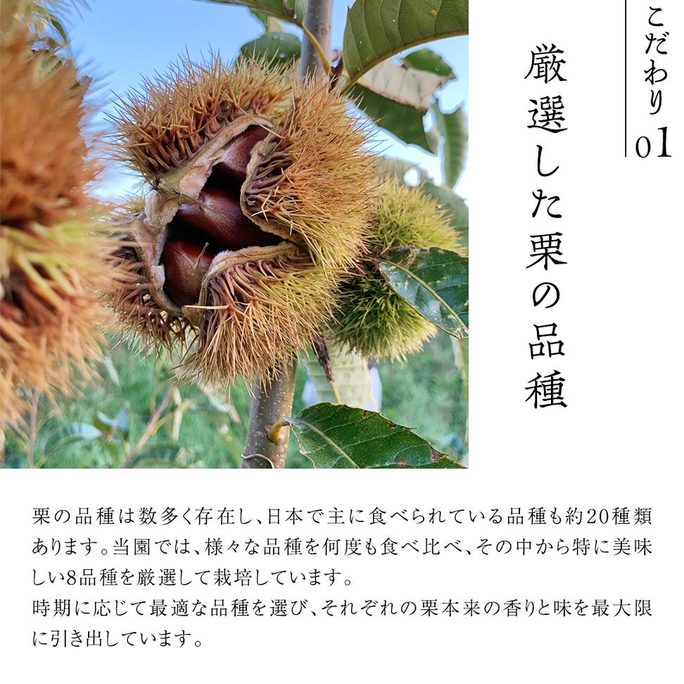 庄七農園 厳選『 最高等級 』氷蔵熟成 焼き和栗 1kg 10月発送