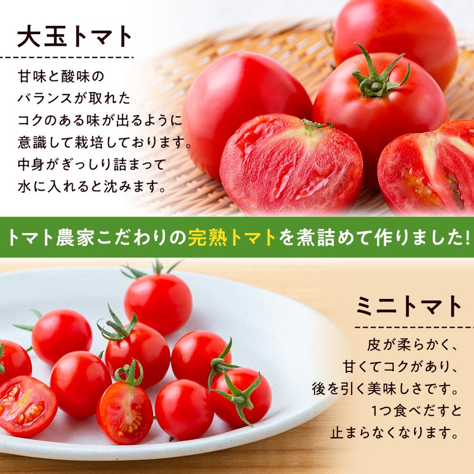【 先行予約 】【数量限定】-太陽の味- 渋谷トマト トマト