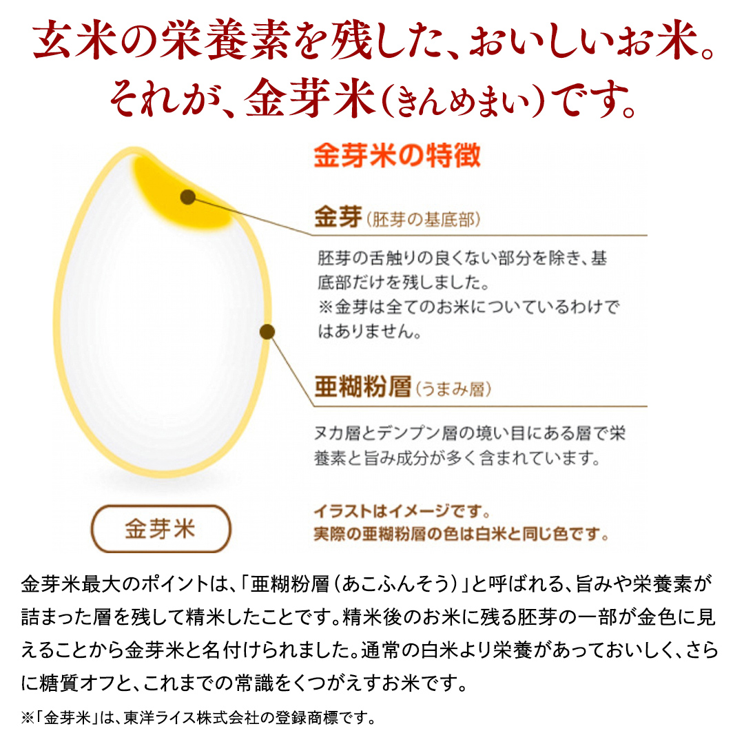 【 金芽米 】 ＜2月下旬出荷＞ つくばみらい市産 コシヒカ