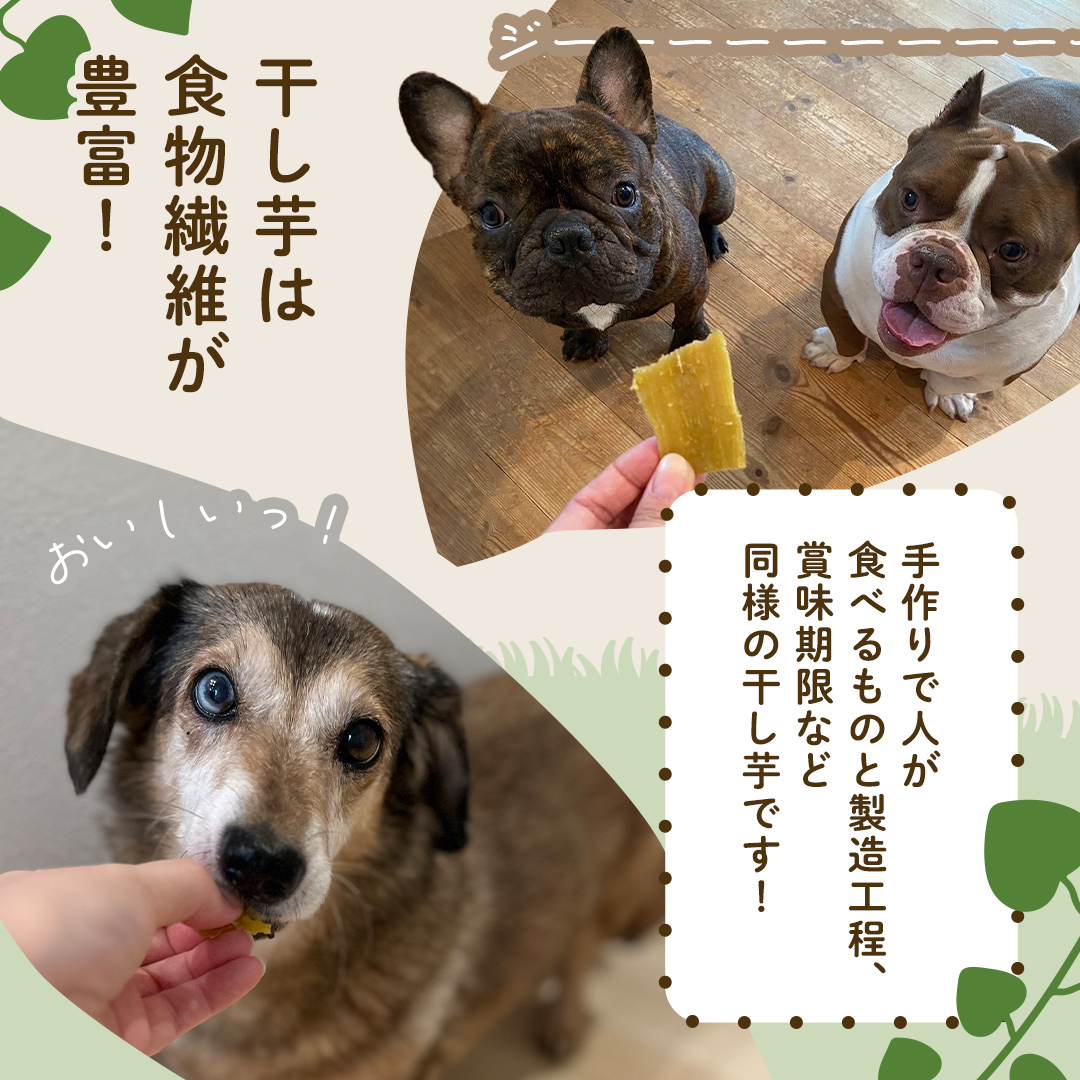 犬のおやつ 国産 干し芋 シロタ 800g (100g × 8袋) 送料無料 保