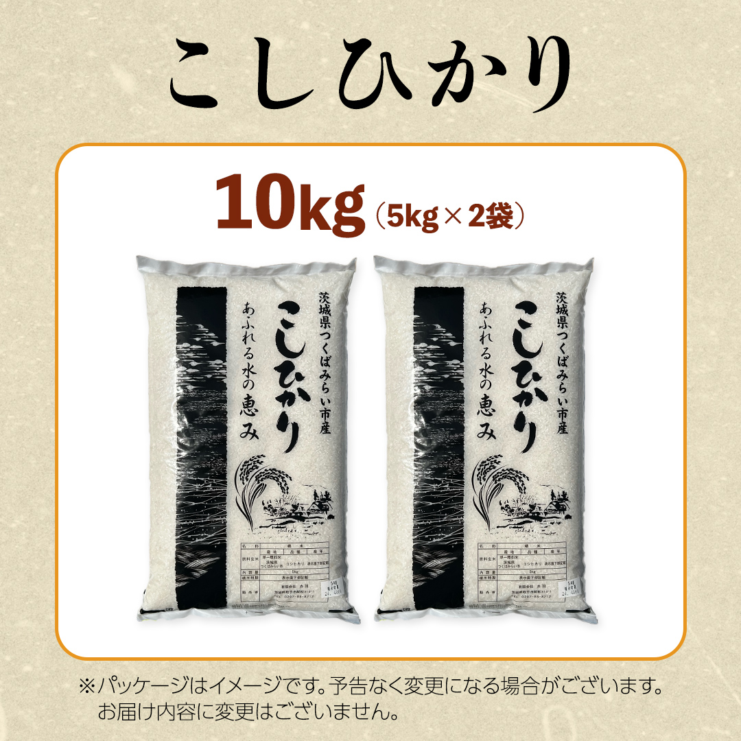【 1月下旬発送 / 数量限定 】茨城県産 コシヒカリ 精米 10kg 