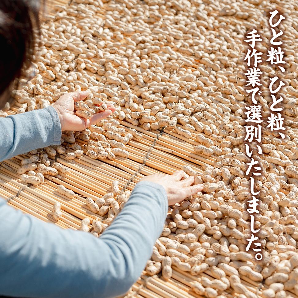 から付き落花生 600g （100g×6袋） 煎りざや落花生 おつまみ 