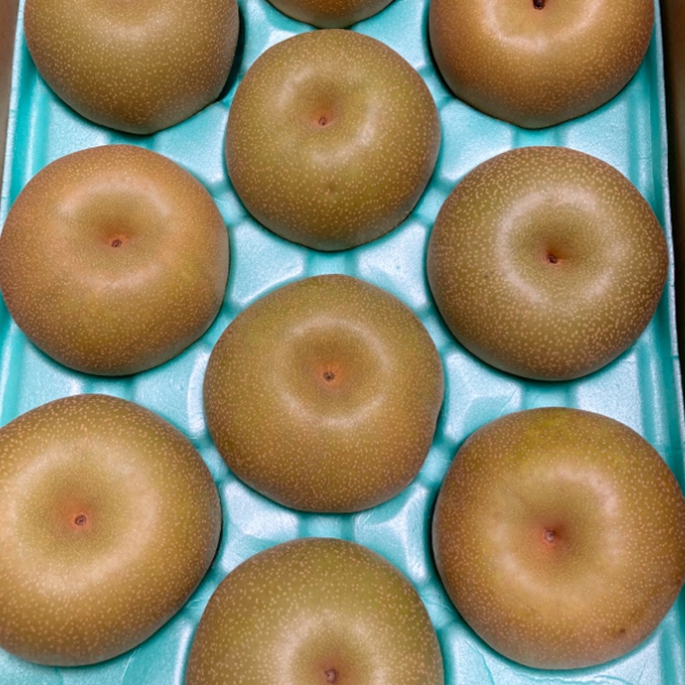 【定期便】梨 5kg（7〜12個）品種移り変わりセット【2025年8