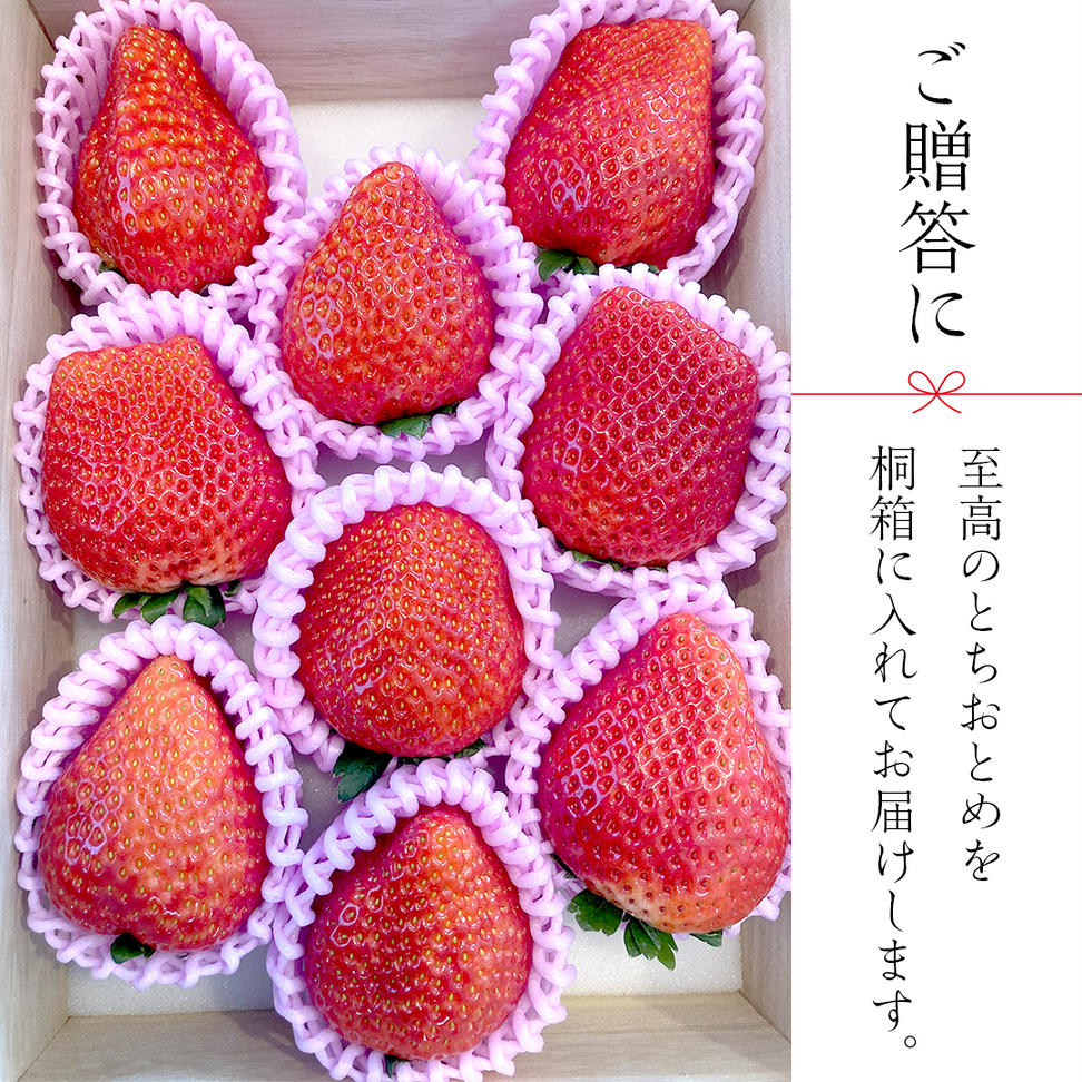 【数量限定】桐箱入り 大粒いちご とちおとめ 9粒（茨城県